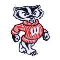 Wisconsin Badgers Style-2 Embroidered Iron On Patch